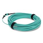 Picture of 2-Pieces of 15m MPO/UPC to MPO/UPC Aqua OM4 OFNR (Riser-Rated) 12-Strand Fiber Patch Cables