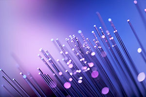 Fiber purple